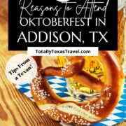 Addison Oktoberfest Pin