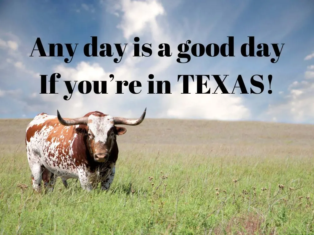 Any day is a good day if you're in Texas