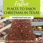 Christmas in Texas Pin Image