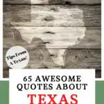 Texas captions Pin Image
