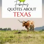 Quotes about Texas pin image