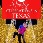 Pin Image for Christmas in Texas