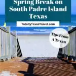 South Padre Island Spring Break Pin