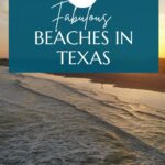 Texas Beaches Pin Image
