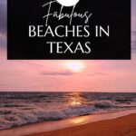 Texas Beaches Pin Image