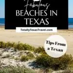 Texas Beaches Pin Image