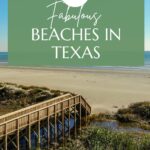 Texas Beaches Pin Image