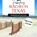 Texas Beaches Pin Image