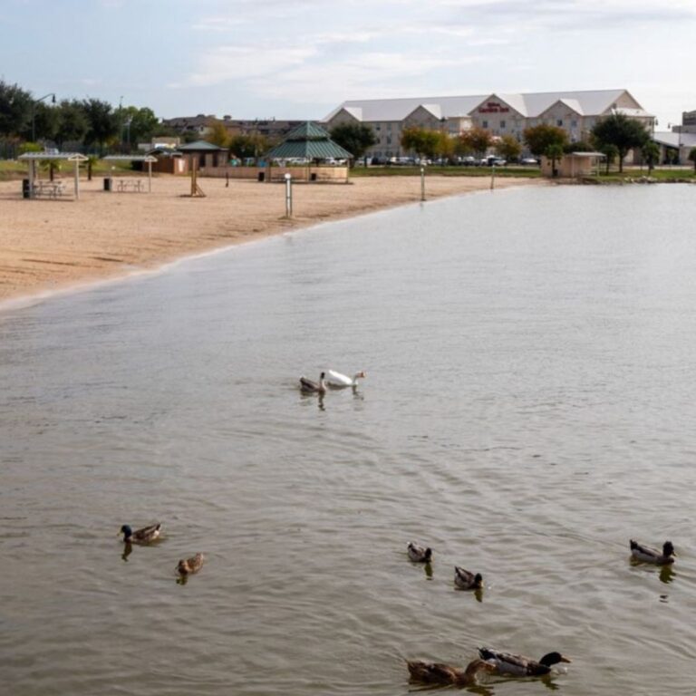 14 Fun Lakes in Dallas (& Nearby)