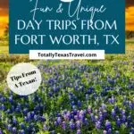 day trips from Fort Worth Pin
