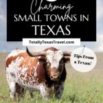 small towns in Texas Pinterest Pin Image