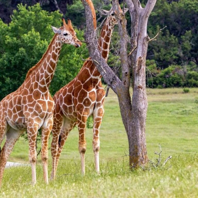 10 Fun Day Trips from Fort Worth