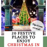 Dallas Christmas events pin image