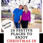 Christmas in Dallas Pin image