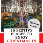 Pin Image for Christmas in Dallas