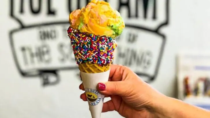 cone of Blue Bell ice cream