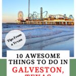 things to do in Galveston Pinterest Image