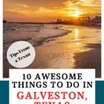 Galveston Texas Pin Image