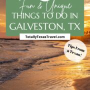 Galveston Texas Pin Image