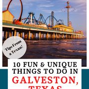 Galveston Texas Pin Image