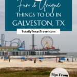 Galveston Texas Pin Image