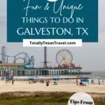 Galveston Texas Pin Image