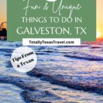 things to do in Galveston Pinterest Image