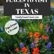 hidden gems in Texas Pin Image