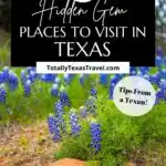 hidden gems in Texas Pin Image