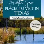 hidden gems in Texas Pin Image