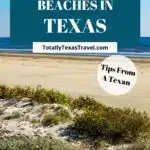 Texas Gulf Coast beaches pin image