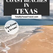 Texas Gulf Coast beaches pin image
