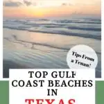Texas Gulf Coast beaches pin image