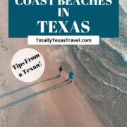 Texas Gulf Coast beaches pin image