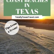 Texas Gulf Coast beaches pin image