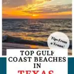 Texas Gulf Coast beaches pin image