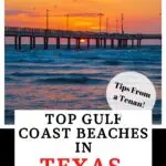 Texas Gulf Coast beaches pin image
