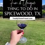 Things to do in Spicewood, TX Pin Image