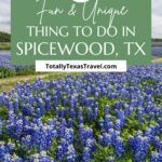 Things to do in Spicewood, TX Pin Image