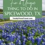 Things to do in Spicewood, TX Pin Image